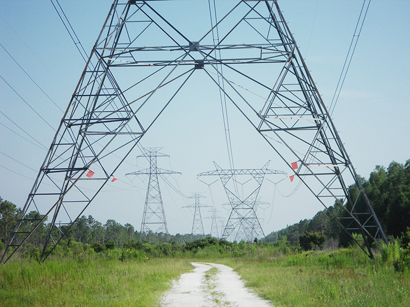 The power transmission networks 1 pn img 00002