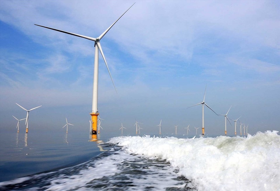 Năng lượng xanh - Điện gió ngoài khơi Việt Nam