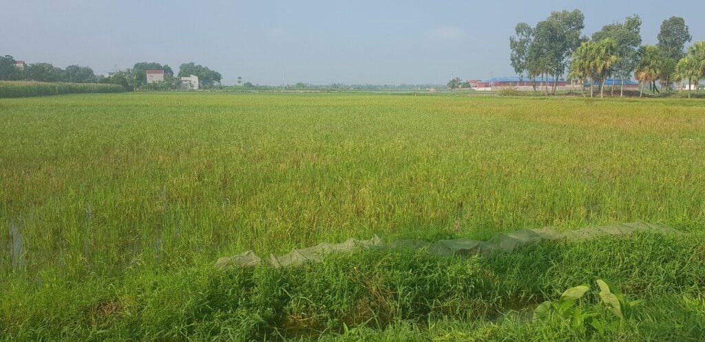 DTM TBA DD 220kV Thanh Hoa Sam Son 002